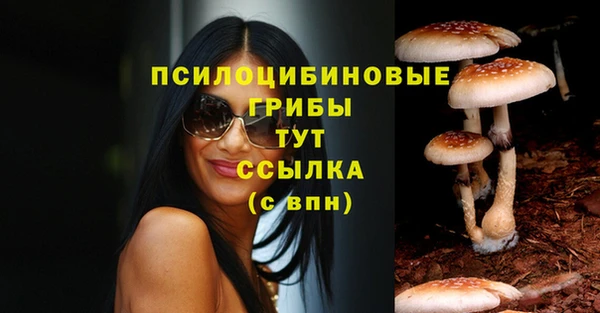 эйфоретик Абинск