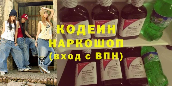 прущий лед Алзамай
