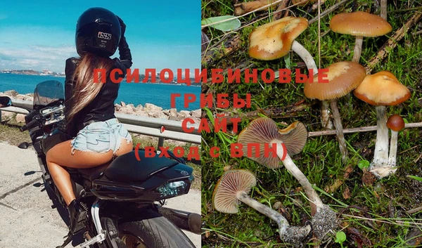 гидропоника Абаза