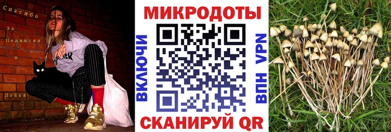 Псилоцибиновые грибы MAGIC MUSHROOMS Королёв