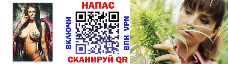 Конопля планчик Королёв